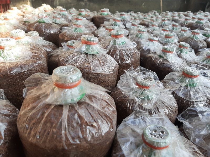 green journey , local NGO