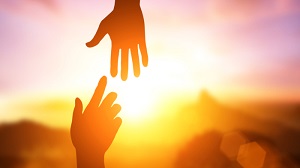 green journey , local NGO